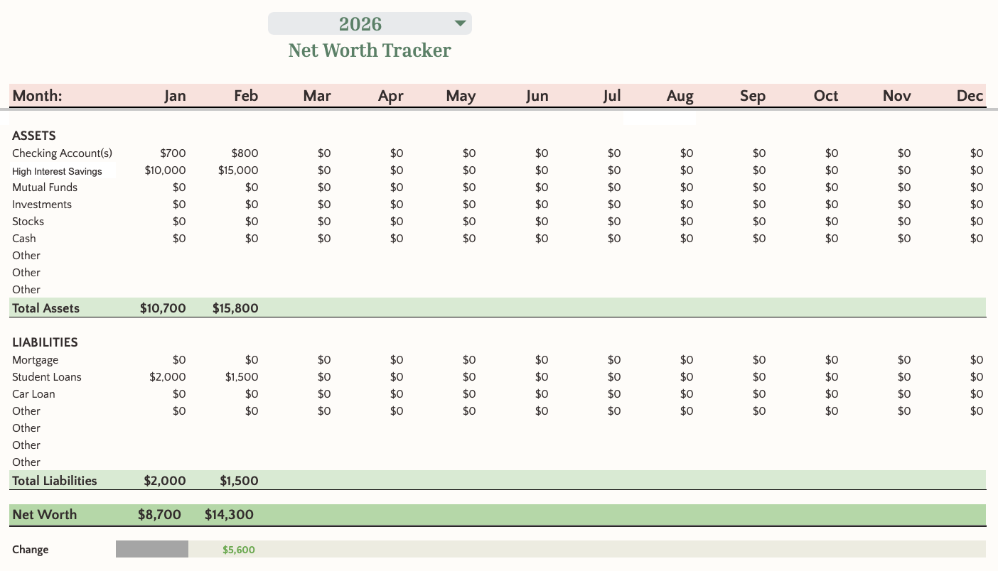 Budget and Net Worth Tracker